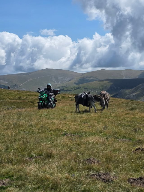 Знакомства Москва (МСК), фото мужчины КтоЖеЕщё, 34 года, Овен, познакомится для создания семьи и заключения брака