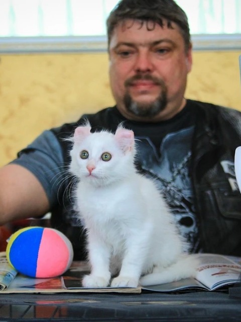 Дмитрий, 49 лет, Близнецы