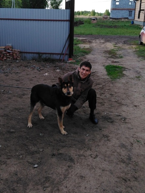 Фархад, 36 лет, Рак